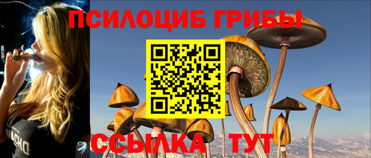 Галлюциногенные грибы Cubensis  Вход с VPN  Хабаровск 